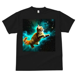 TVc  j[NfUCfB[X t@  t vg lJWA 킢 lԗp Mtg I ҏ΍ F _ Xy[X FL MNV[