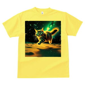 TVc  j[NfUCfB[X t@  t vg lJWA 킢 lԗp Mtg I ҏ΍ F   L