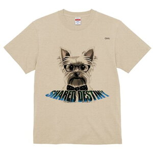 [NV[eA TVc  j[NfUCY LbY t@  t vg lJWA 킢 lԗp Mtg I ҏ΍ Kl [NV[eA lN