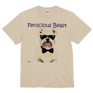 EGXgnChzCgeA TVc  j[NfUCfB[X t@  t vg lJWA 킢 lԗp Mtg I ҏ΍ TOX EGXgn