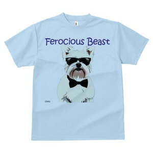 EGXgnChzCgeA TVc  j[NfUCfB[X t@  t vg lJWA 킢 lԗp Mtg I ҏ΍ TOX EGXgn