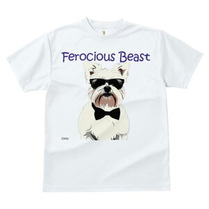 EGXgnChzCgeA TVc  j[NfUCfB[X t@  t vg lJWA 킢 lԗp Mtg I ҏ΍ TOX EGXgn