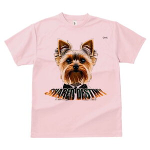 [NV[eA TVc  j[NfUCfB[X t@  t vg lJWA 킢 lԗp Mtg I ҏ΍ lN^C [NV[eA