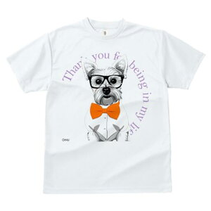 EGXgnChzCgeA TVc  j[NfUCY LbY t@  t vg lJWA 킢 lԗp Mtg I ҏ΍ Kl EGXgn