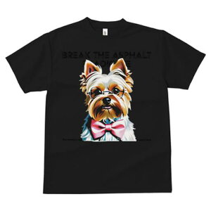 [NV[eA TVc  j[NfUCfB[X t@  t vg lJWA 킢 lԗp Mtg I ҏ΍ Kl [NV[eA lN^