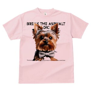 [NV[eA TVc  j[NfUCfB[X t@  t vg lJWA 킢 lԗp Mtg I ҏ΍ lN^C [NV[eA