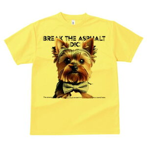 [NV[eA TVc  j[NfUCfB[X t@  t vg lJWA 킢 lԗp Mtg I ҏ΍ lN^C [NV[eA