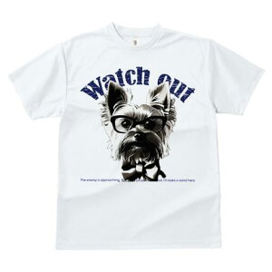 [NV[eA TVc  j[NfUCY LbY t@  t vg lJWA 킢 lԗp Mtg I ҏ΍ Kl [NV[eA lN