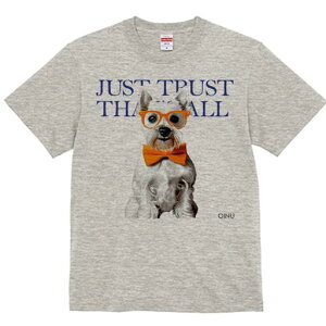 EGXgnChzCgeA TVc  j[NfUCY LbY t@  t vg lJWA 킢 lԗp Mtg I ҏ΍ Kl EGXgn