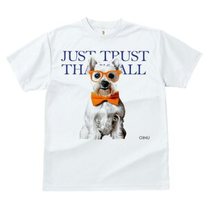 EGXgnChzCgeA TVc  j[NfUCfB[X t@  t vg lJWA 킢 lԗp Mtg I ҏ΍ Kl EGXgnC