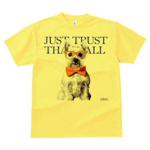 EGXgnChzCgeA TVc  j[NfUCY LbY t@  t vg lJWA 킢 lԗp Mtg I ҏ΍ Kl EGXgn