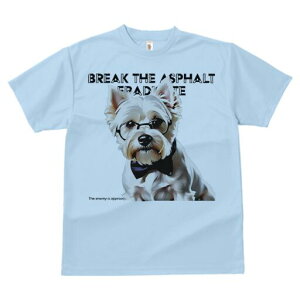 EGXgnChzCgeA TVc  j[NfUCfB[X t@  t vg lJWA 킢 lԗp Mtg I ҏ΍ Kl EGXgnC