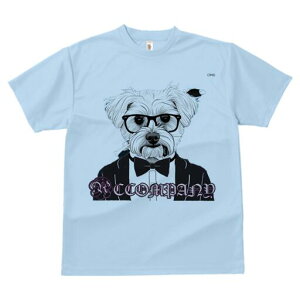 }`[Y TVc  j[NfUCfB[X t@  t vg lJWA 킢 lԗp Mtg I ҏ΍ Kl }`[Y lN^C ^LV[h 