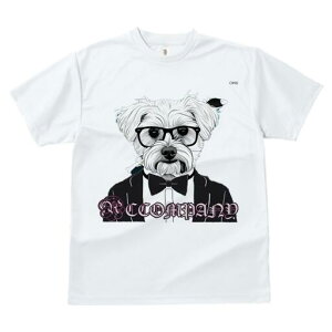 }`[Y TVc  j[NfUCfB[X t@  t vg lJWA 킢 lԗp Mtg I ҏ΍ Kl }`[Y lN^C ^LV[h 