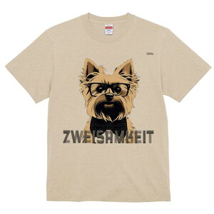 PA[eA TVc  j[NfUCY LbY t@  t vg lJWA 킢 lԗp Mtg I ҏ΍ Kl PA[eA lN^C