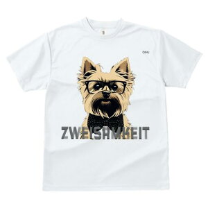 PA[eA TVc  j[NfUCfB[X t@  t vg lJWA 킢 lԗp Mtg I ҏ΍ Kl PA[eA lN^C