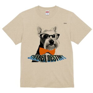 ~j`AViEU[ TVc  j[NfUCfB[X t@  t vg lJWA 킢 lԗp Mtg I ҏ΍ Kl ~j`AViEU[ 