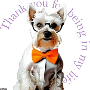 ���l�N�^�C �E�G�X�g�n�C�����h�z���C�g�e���A ���K�l �N�b�V�����J�o�[ 45×45cm �A�j�}���� ������� ���� �N�b�V�����{�̕t�� �����`