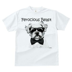 }`[Y TVc  j[NfUCfB[X t@  t vg lJWA 킢 lԗp Mtg I ҏ΍ TOX }`[Y lN^C