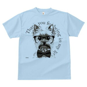 [NV[eA TVc  j[NfUCY LbY t@  t vg lJWA 킢 lԗp Mtg I ҏ΍ Kl [NV[eA lN