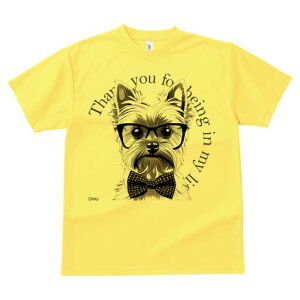 [NV[eA TVc  j[NfUCfB[X t@  t vg lJWA 킢 lԗp Mtg I ҏ΍ Kl [NV[eA lN^