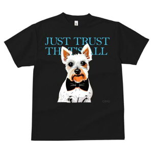 EGXgnChzCgeA TVc  j[NfUCfB[X t@  t vg lJWA 킢 lԗp Mtg I ҏ΍ lN^C EGXgn