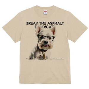 EGXgnChzCgeA TVc  j[NfUCfB[X t@  t vg lJWA 킢 lԗp Mtg I ҏ΍ Kl EGXgnC