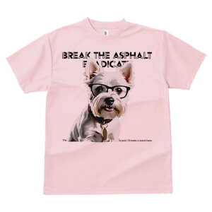 EGXgnChzCgeA TVc  j[NfUCfB[X t@  t vg lJWA 킢 lԗp Mtg I ҏ΍ Kl EGXgnC