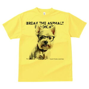 EGXgnChzCgeA TVc  j[NfUCfB[X t@  t vg lJWA 킢 lԗp Mtg I ҏ΍ Kl EGXgnC