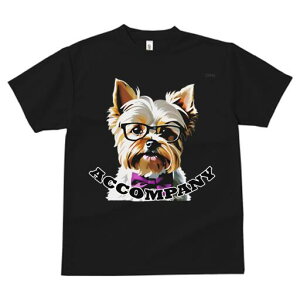 [NV[eA TVc  j[NfUCY LbY t@  t vg lJWA 킢 lԗp Mtg I ҏ΍ Kl [NV[eA lN