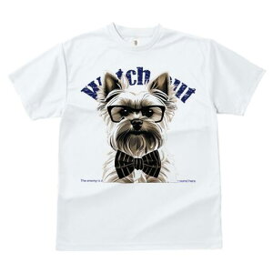 [NV[eA TVc  j[NfUCY LbY t@  t vg lJWA 킢 lԗp Mtg I ҏ΍ Kl [NV[eA lN