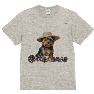 [NV[eA TVc  j[NfUCfB[X t@  t vg lJWA 킢 lԗp Mtg I ҏ΍ Xq [NV[eA