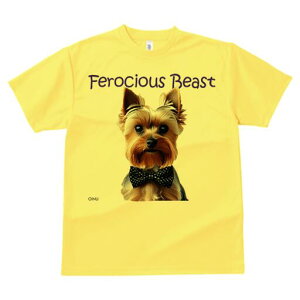 [NV[eA TVc  j[NfUCfB[X t@  t vg lJWA 킢 lԗp Mtg I ҏ΍ lN^C [NV[eA