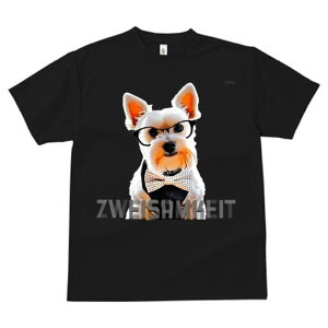 EGXgnChzCgeA TVc  j[NfUCfB[X t@  t vg lJWA 킢 lԗp Mtg I ҏ΍ Kl EGXgnC