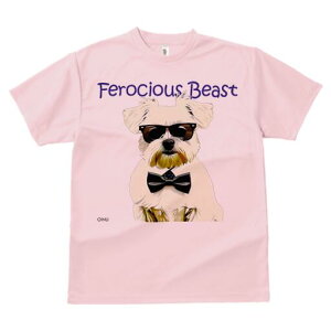 }`[Y TVc  j[NfUCfB[X t@  t vg lJWA 킢 lԗp Mtg I ҏ΍ TOX }`[Y lN^C