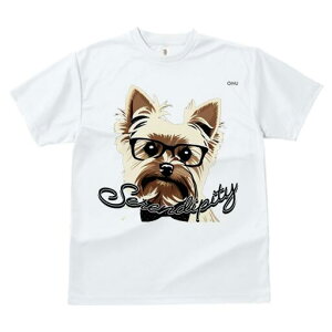 [NV[eA TVc  j[NfUCfB[X t@  t vg lJWA 킢 lԗp Mtg I ҏ΍ Kl [NV[eA lN^