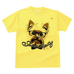 [NV[eA TVc  j[NfUCfB[X t@  t vg lJWA 킢 lԗp Mtg I ҏ΍ Kl [NV[eA lN^