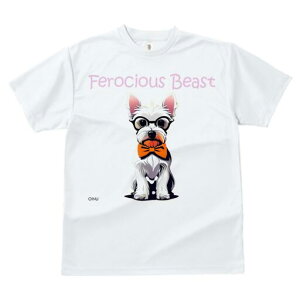 [NV[eA TVc  j[NfUCfB[X t@  t vg lJWA 킢 lԗp Mtg I ҏ΍ Kl [NV[eA lN^