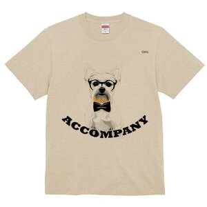 EGXgnChzCgeA TVc  j[NfUCY LbY t@  t vg lJWA 킢 lԗp Mtg I ҏ΍ Kl EGXgn