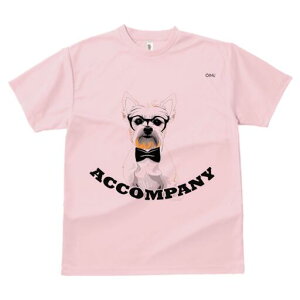 EGXgnChzCgeA TVc  j[NfUCfB[X t@  t vg lJWA 킢 lԗp Mtg I ҏ΍ Kl EGXgnC