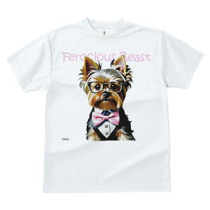 [NV[eA TVc  j[NfUCfB[X t@  t vg lJWA 킢 lԗp Mtg I ҏ΍ lN^C [NV[eA ዾ 