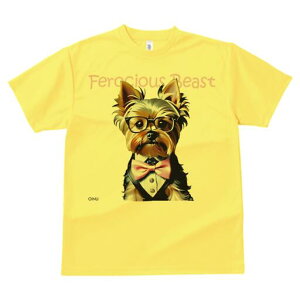 [NV[eA TVc  j[NfUCfB[X t@  t vg lJWA 킢 lԗp Mtg I ҏ΍ lN^C [NV[eA ዾ 