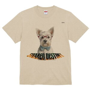 EFXgnChzCgeA TVc  j[NfUCfB[X t@  t vg lJWA 킢 lԗp Mtg I ҏ΍ Kl EFXgnC