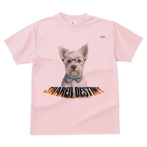 EFXgnChzCgeA TVc  j[NfUCfB[X t@  t vg lJWA 킢 lԗp Mtg I ҏ΍ Kl EFXgnC