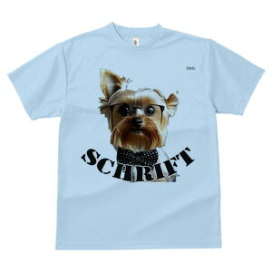 [NV[eA TVc  j[NfUCfB[X t@  t vg lJWA 킢 lԗp Mtg I ҏ΍ Kl [NV[eA lN^