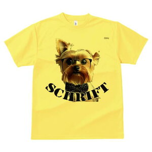 [NV[eA TVc  j[NfUCfB[X t@  t vg lJWA 킢 lԗp Mtg I ҏ΍ Kl [NV[eA lN^