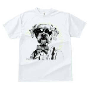 ~j`AViEU[ TVc  j[NfUCfB[X t@  t vg lJWA 킢 lԗp Mtg I ҏ΍ TOX ~j`AViEU