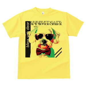 }`[Y TVc  j[NfUCfB[X t@  t vg lJWA 킢 lԗp Mtg I ҏ΍ TOX }`[Y lN^C