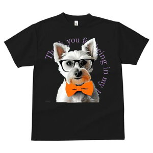 EGXgnChzCgeA TVc  j[NfUCfB[X t@  t vg lJWA 킢 lԗp Mtg I ҏ΍ Kl EGXgnC