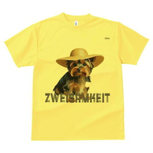 [NV[eA TVc  j[NfUCfB[X t@  t vg lJWA 킢 lԗp Mtg I ҏ΍ Xq [NV[eA